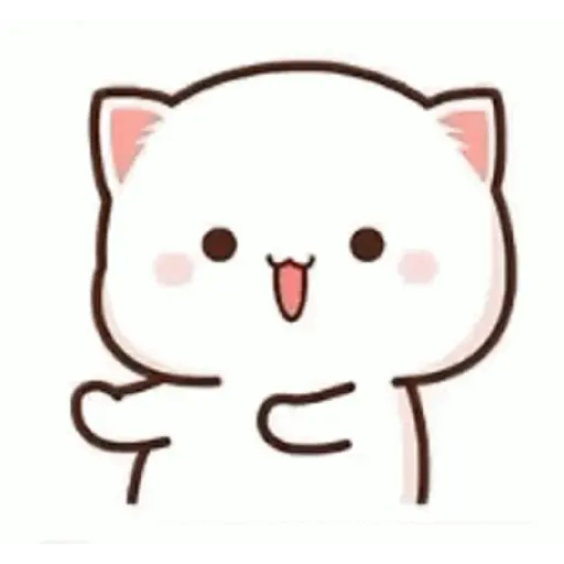 Kucing gemoy 17