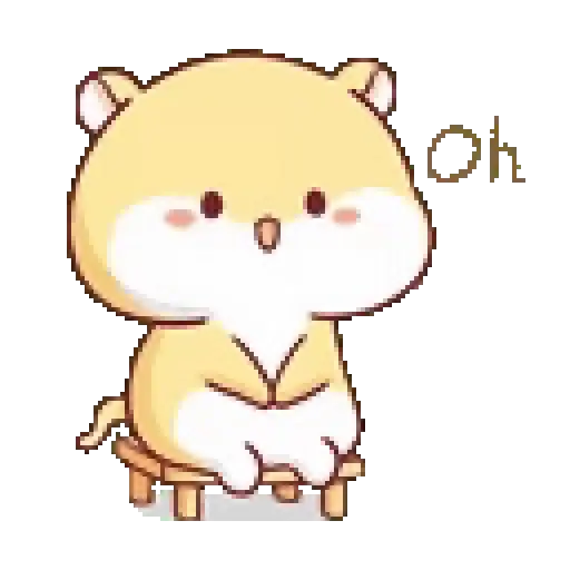 Hámster 🐹🐹 6