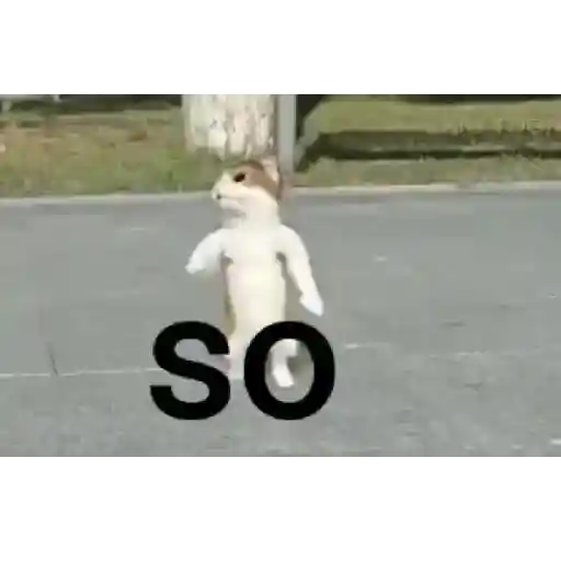 Gifs 16