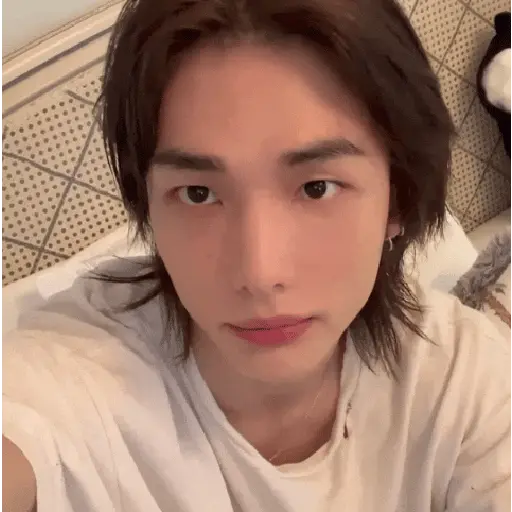 醙〘🤴🏻〙Hyunjin 3