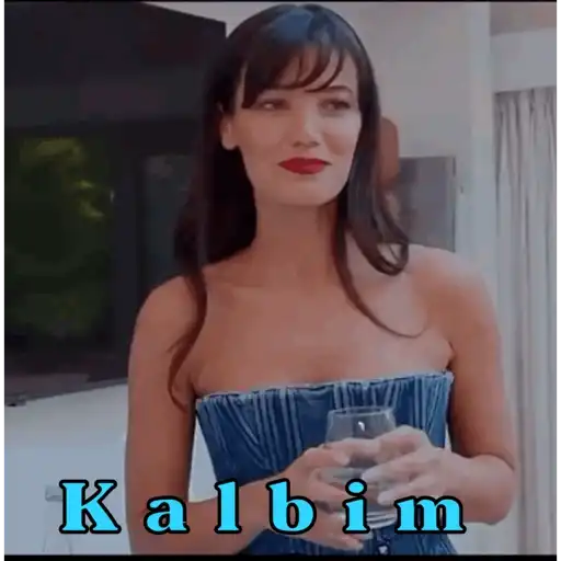 Yargi gif 18