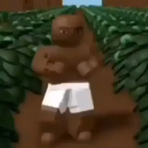 I hate niggers  1