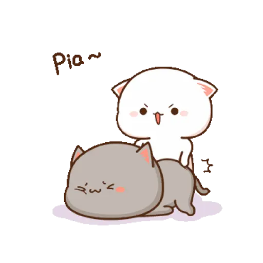 Gatitos🥲😢 4