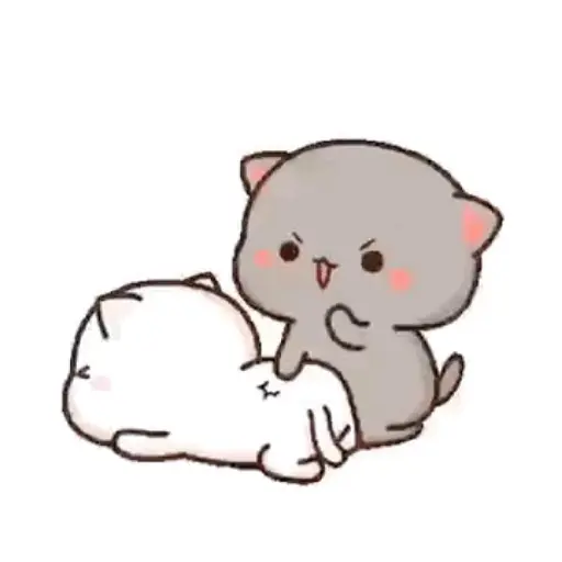 Gatitos🥲😢 5