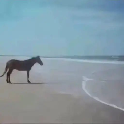 Random 10