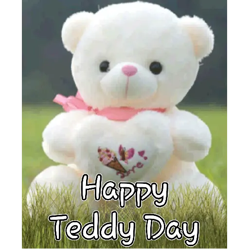 Teddy Bear Day 14