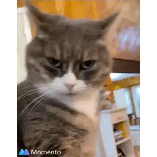 Vácuo 15