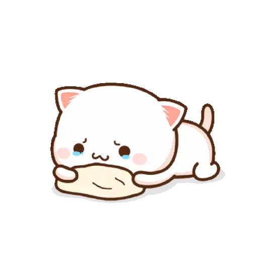 Gatitos🥲😢 10