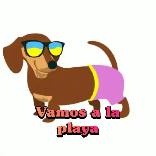 Perros salchichas 14