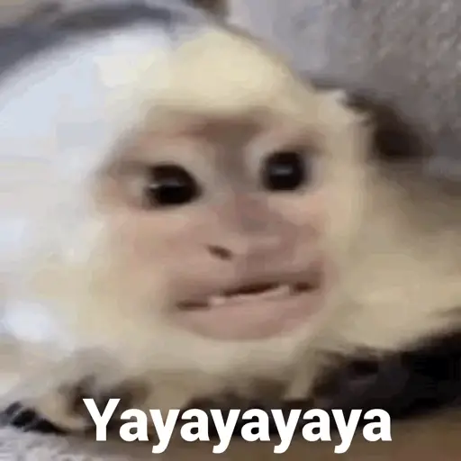 Monkeycrazys  4