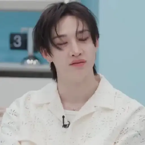 BANGCHAN / STRAYKIDS  5