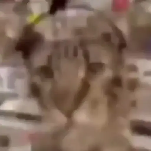 Random 6