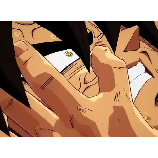 Animadas 5