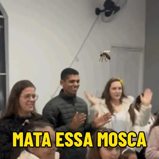 Video Jonas  14
