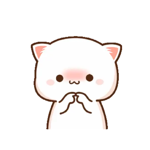 Kucing gemoy 16