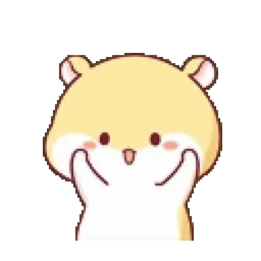 Hámster 🐹🐹 13