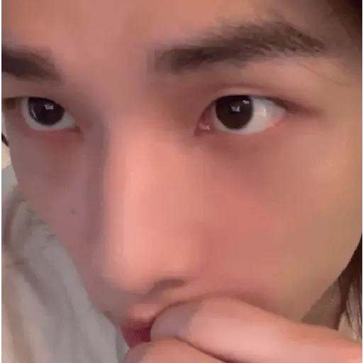 醙〘🤴🏻〙Hyunjin 5