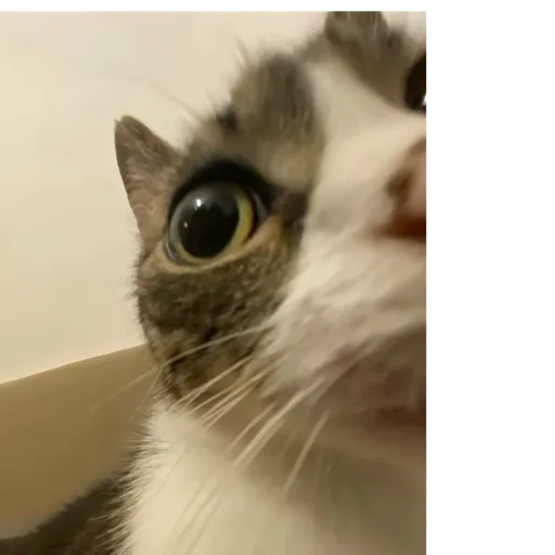 Aaaaaaaaaaaok 16
