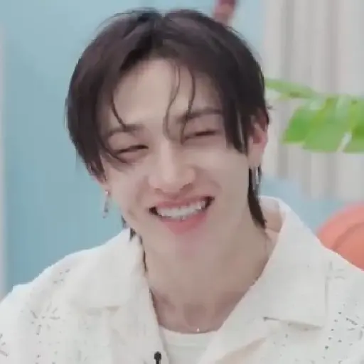 BANGCHAN / STRAYKIDS  10