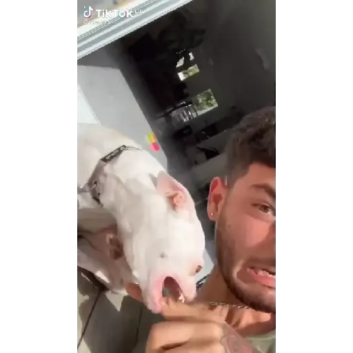 Gifs 8