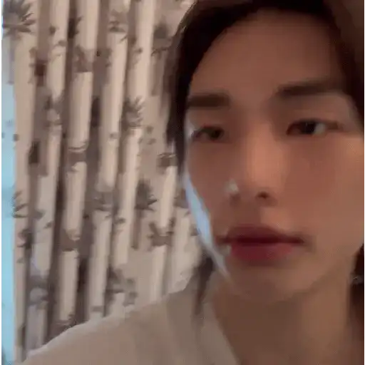 醙〘🤴🏻〙Hyunjin 6