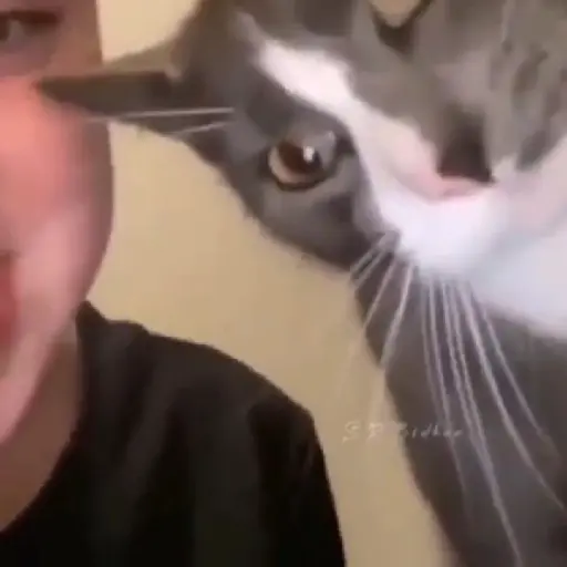 Gifs 14