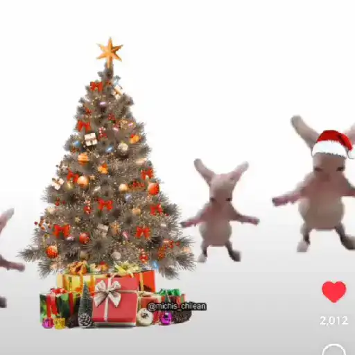 Randoms gifts 25
