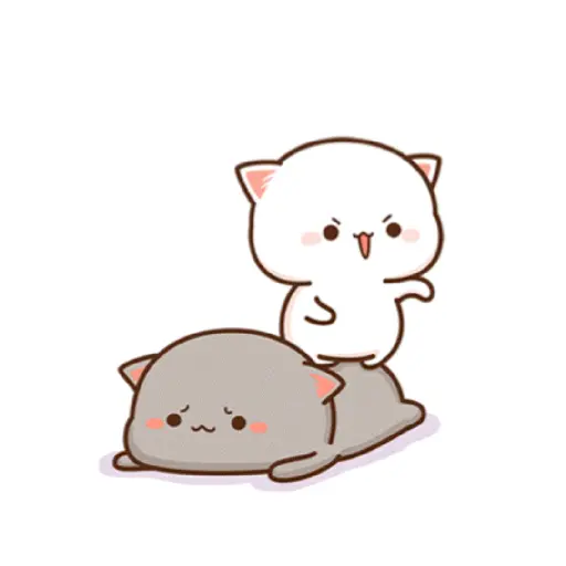 Gatitos🥲😢 13