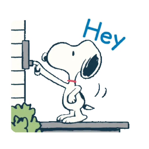 Peanuts 29