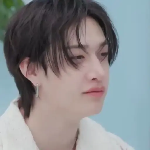 BANGCHAN / STRAYKIDS  12