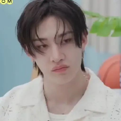 BANGCHAN / STRAYKIDS  7