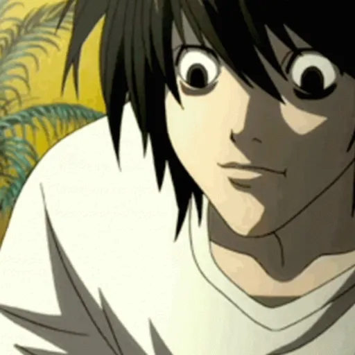 ❀ᮬ🤍⣧ ᩡᩡ L lawliet!©️Pochis 18