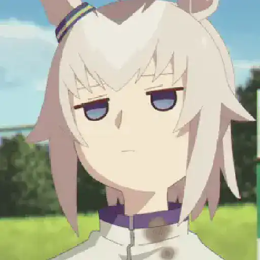 Umamusume 16