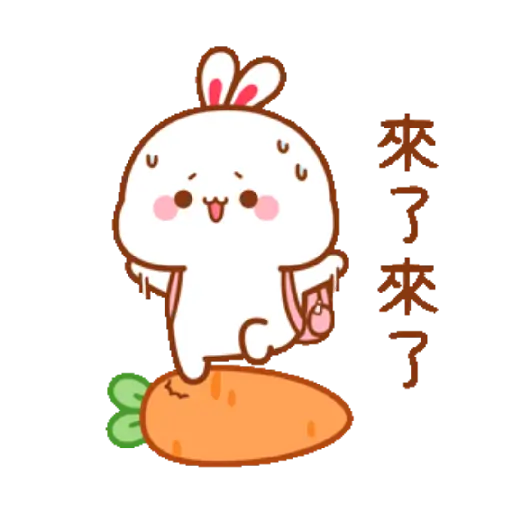 Mochi cat 27