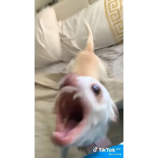 Gifs 5