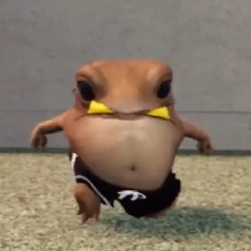 Tiktok Dancing | Frog Roblox 5