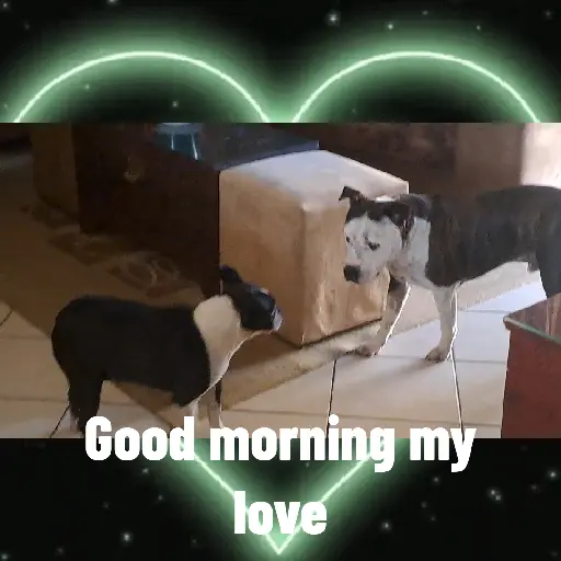 My Love 1