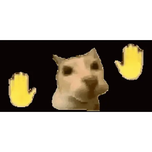 GIF viral tiktok  1