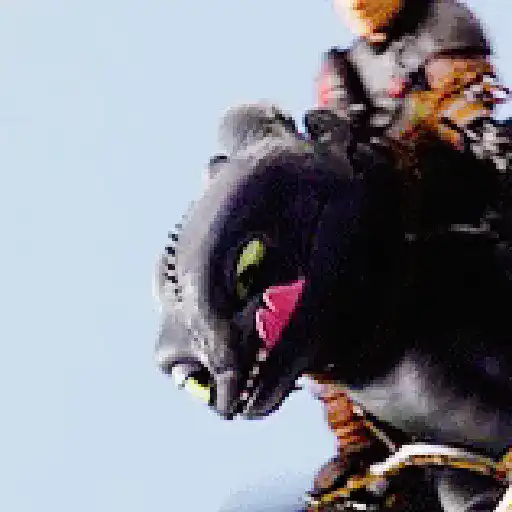 Dragones y mas 13