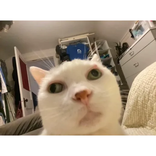 Aaaaaaaaaaaok 20