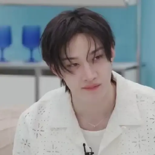BANGCHAN / STRAYKIDS  2