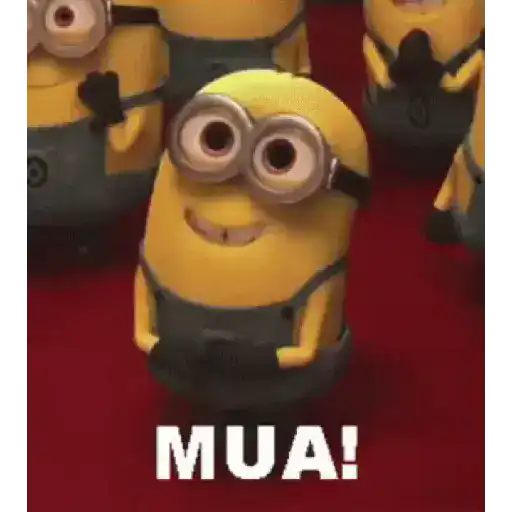 Vácuo 24