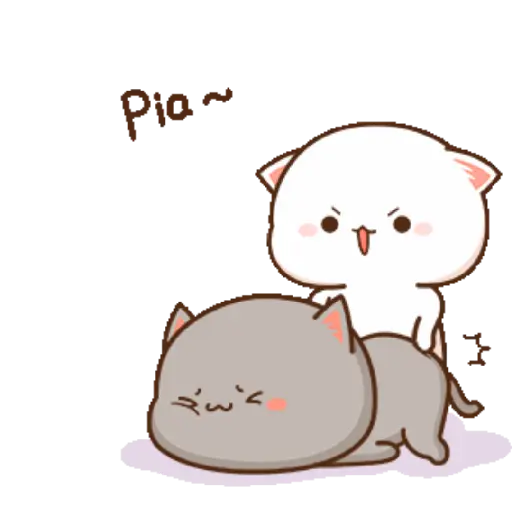 Cute couples  9