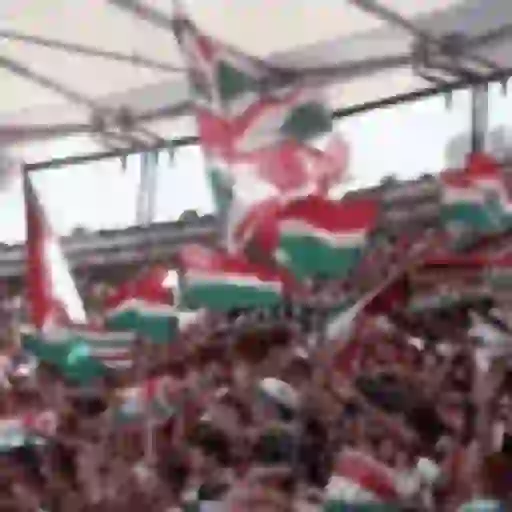 FLUMINENSE CAMPEÃO  12