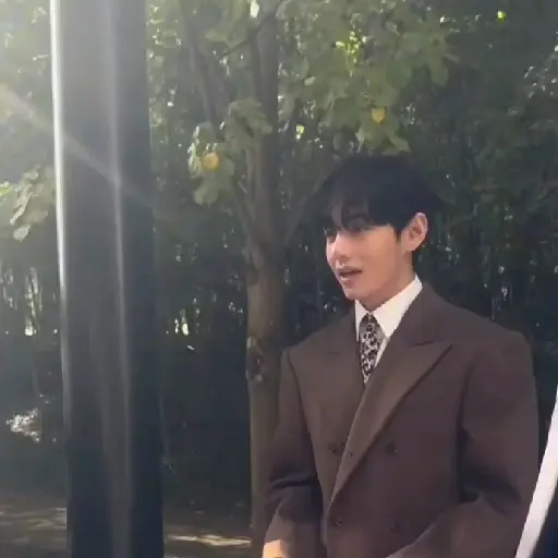 BTS  29
