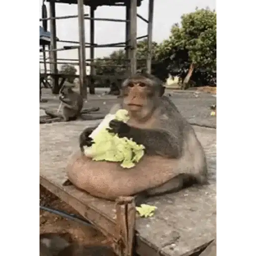 Figurinhas só q animadas 1