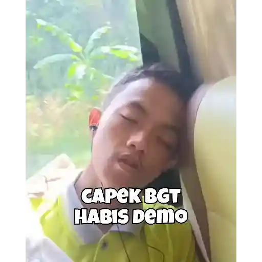 LITELBONSEM 17