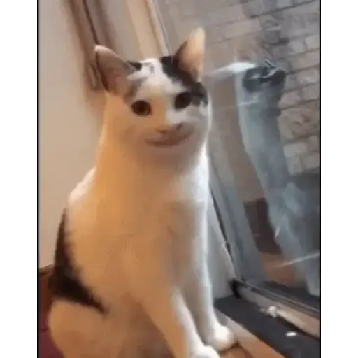 Vácuo 22