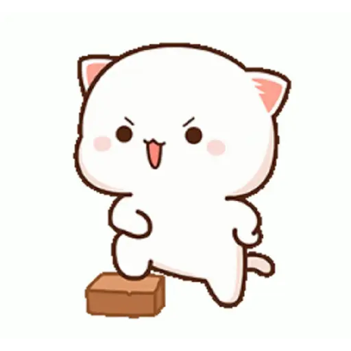 Kucing gemoy 21