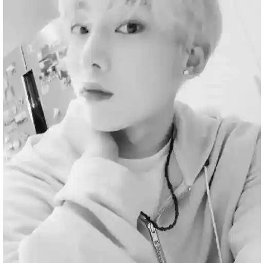ㅤㅤ❝ㅤㅤㅤ🌸ᅠᅠ〔 Sunoo 〕ᅠᅠ鑟鑟 8